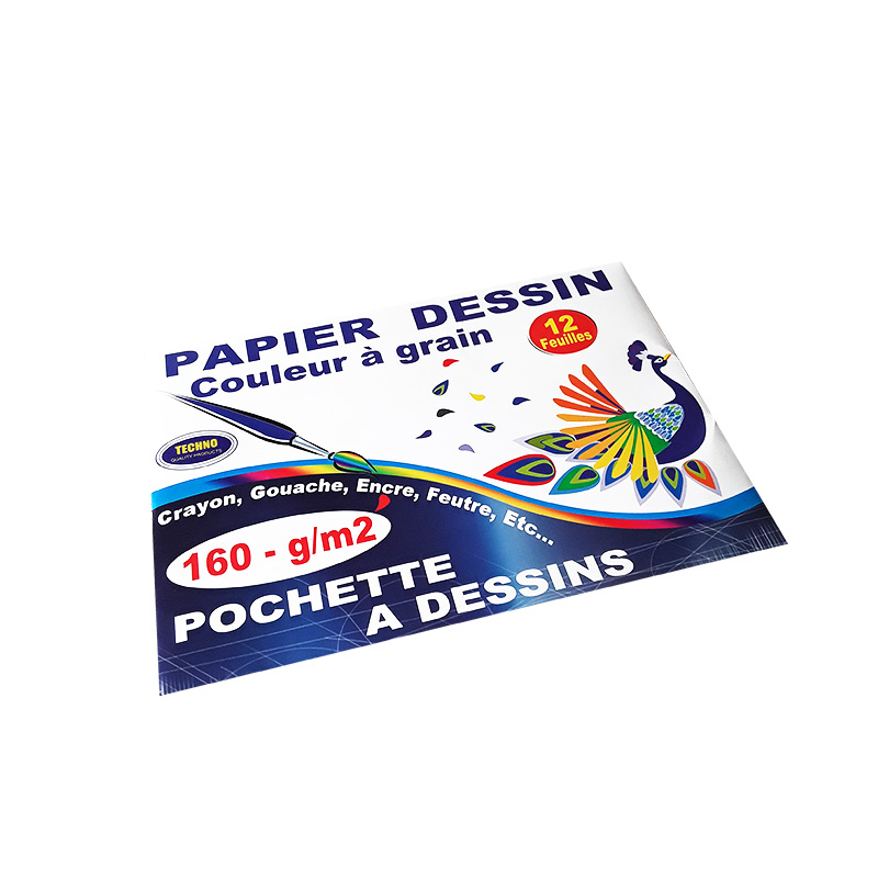 Papier dessin couleur à grain 160g pochette de 12 feuilles-TECHNO