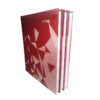 Lot 03 cahiers cartonnés 300 pages-CLASSINN