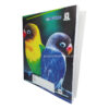 Cahier 300 pages-Sinarline Gladiateur