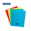 Cahier 192 pages 17x22 piqué-couverture plastique - grands carreaux- Calligraphe ligne 8000