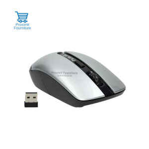 Souris-sans-fil-Havit-HV-MS989GT